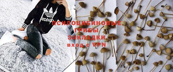 соль ск Заволжье