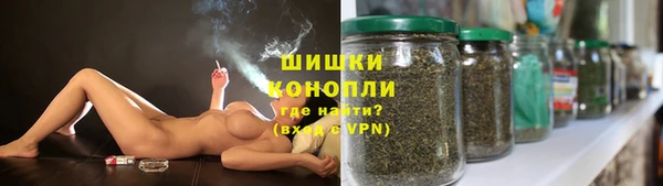 ПСИЛОЦИБИНОВЫЕ ГРИБЫ Заводоуковск