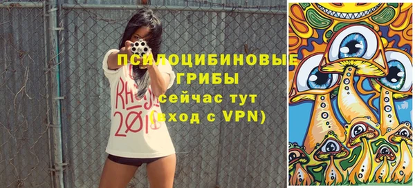 соль ск Заволжье
