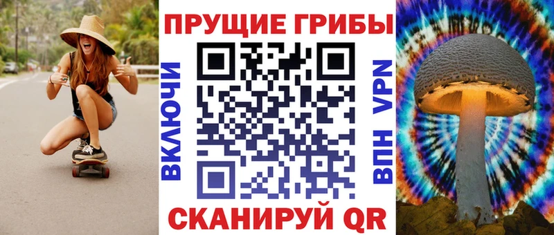 mega ONION  Зеленокумск  Галлюциногенные грибы GOLDEN TEACHER 